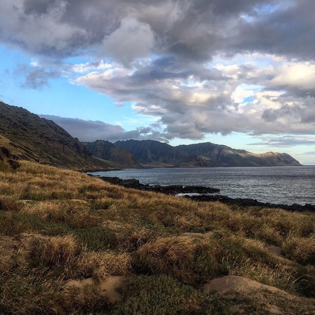A coastal landscape with grassy terrain and mountains in the background.