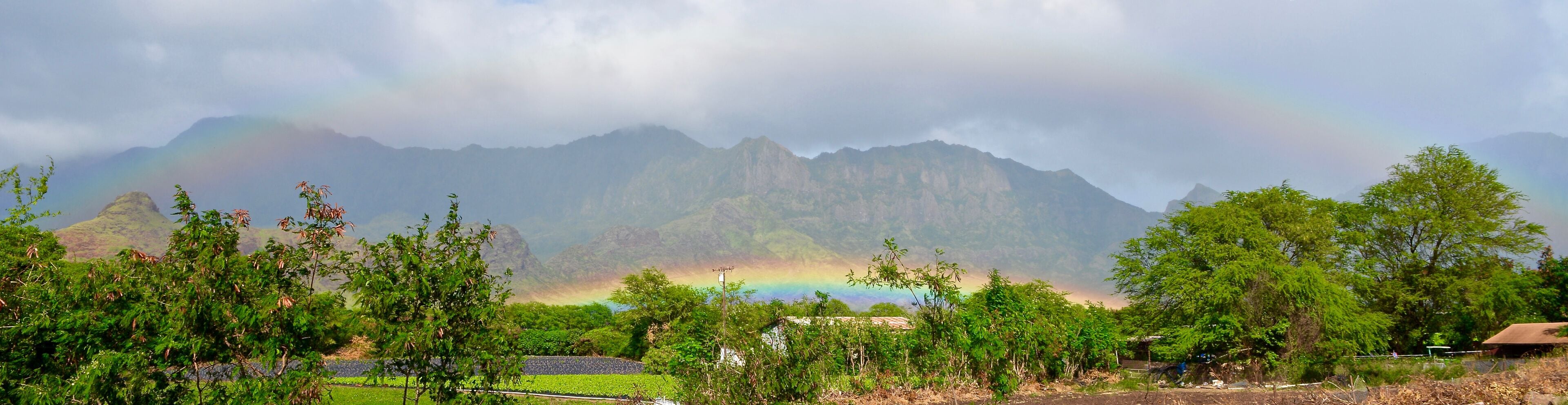 Kahumana Organic Farm Waianae Oahu in Hawaii - HNL