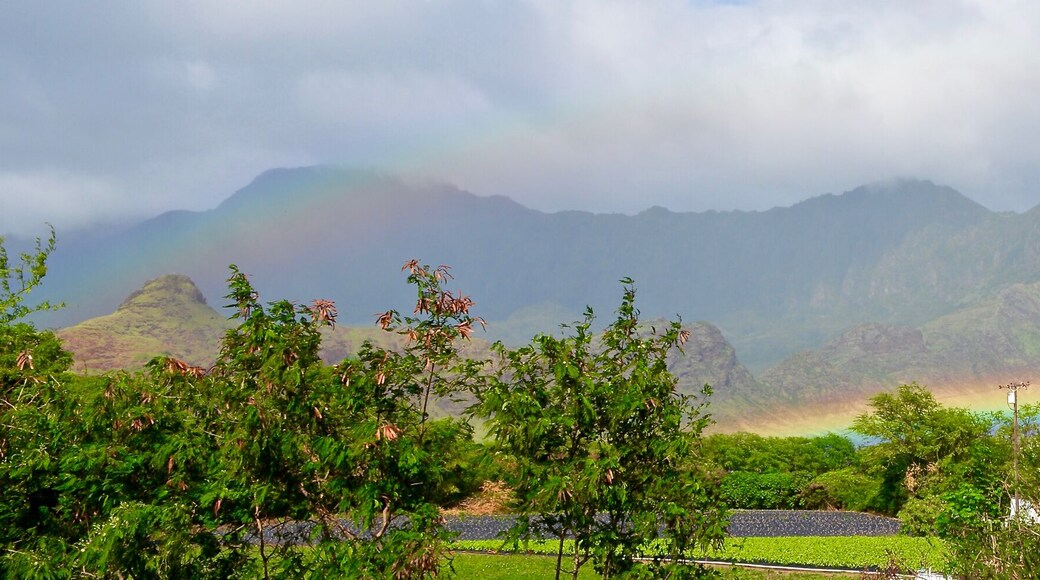 Kahumana Organic Farm Waianae Oahu in Hawaii - HNL