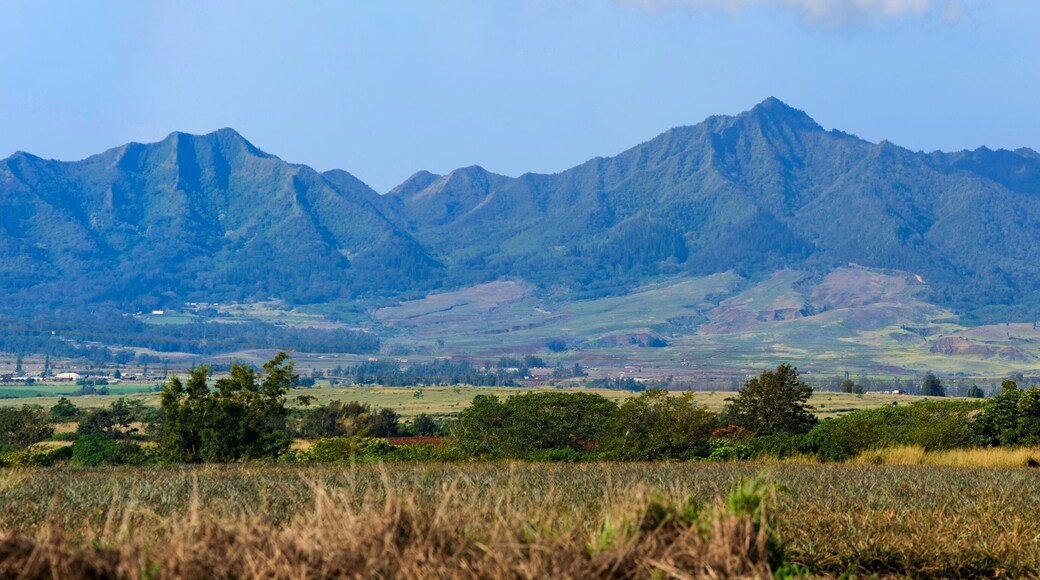 Waianae Mountain Range, Oahu, Hawaii. Mountains along west Oahu island, looking from central Oahu.