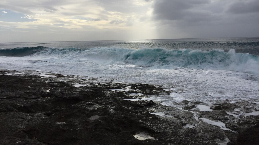 Found this sparsely populated beach on Oahu’s west side. Powerful waves in February pounding in rock and sand beach. #merch