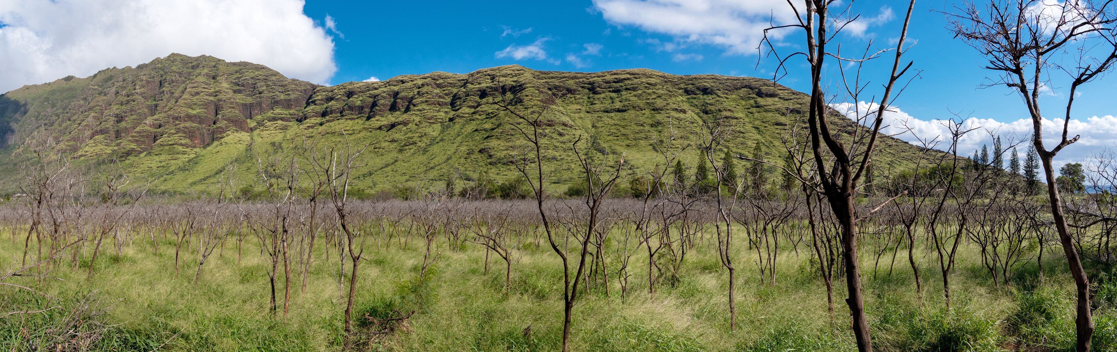 Panoramic view of mountains in Oahu Waianae Kai Forest Reserve