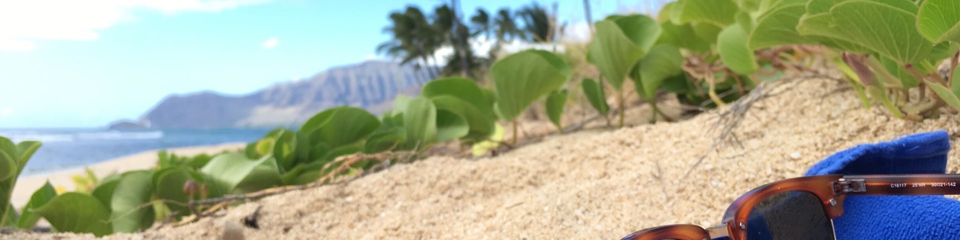 Sand, palms, blue skies and sunglasses are all you need for a good beach day! #LifeatExpedia