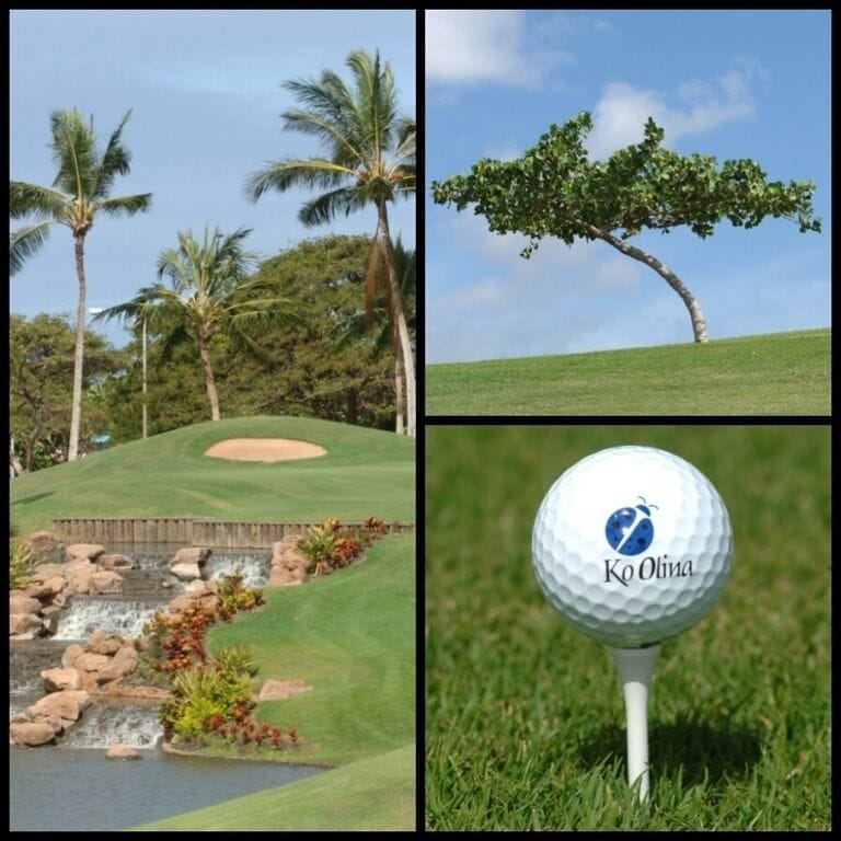Ko Olina is my favorite golf course on the island. 
Nice driving range available to practice before you play. The greens and fairwarys are always well maintained and enjoyable. There are fabulous water features that make some holes more challenging and fun. All golf carts come with a GPS and water bottles. 
The pro shop staff are very helpful and friendly. The pro shop has everything you need in case you forgot something or want to go home with something with a cute ladybug logo. 
Don't forget Roy's at the 19th hole! Great place to relax with good food and drinks after a day of golfing heaven ⛳