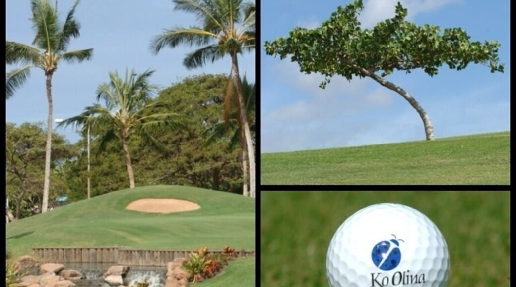 Ko Olina is my favorite golf course on the island.
Nice driving range available to practice before you play. The greens and fairwarys are always well maintained and enjoyable. There are fabulous water features that make some holes more challenging and fun. All golf carts come with a GPS and water bottles.
The pro shop staff are very helpful and friendly. The pro shop has everything you need in case you forgot something or want to go home with something with a cute ladybug logo.
Don't forget Roy's at the 19th hole! Great place to relax with good food and drinks after a day of golfing heaven ⛳