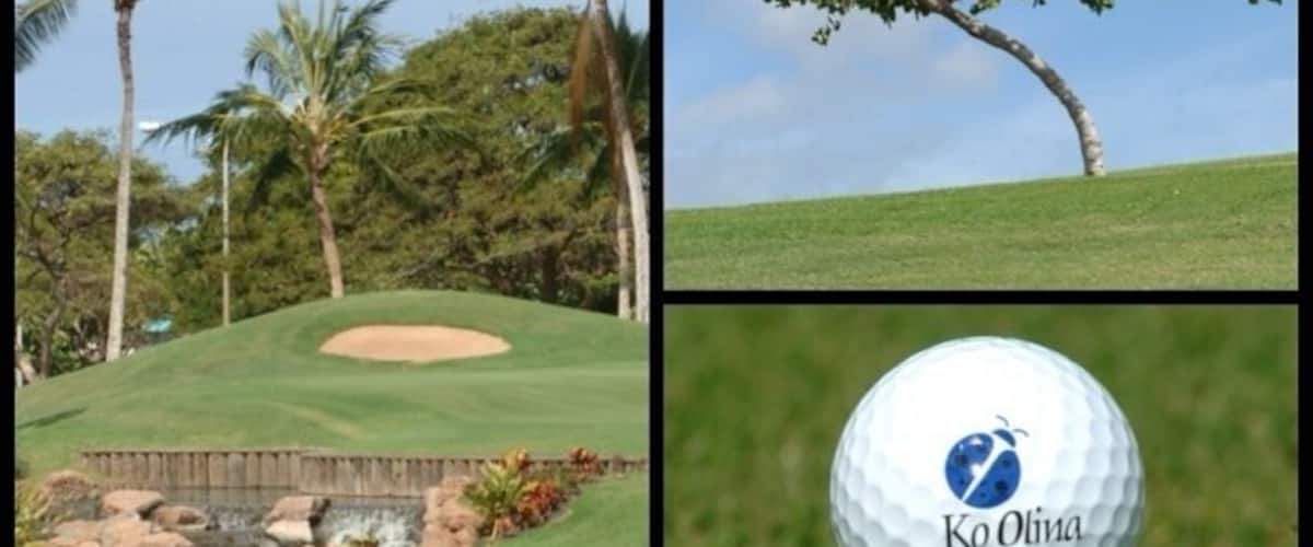 Ko Olina is my favorite golf course on the island. 
Nice driving range available to practice before you play. The greens and fairwarys are always well maintained and enjoyable. There are fabulous water features that make some holes more challenging and fun. All golf carts come with a GPS and water bottles. 
The pro shop staff are very helpful and friendly. The pro shop has everything you need in case you forgot something or want to go home with something with a cute ladybug logo. 
Don't forget Roy's at the 19th hole! Great place to relax with good food and drinks after a day of golfing heaven ⛳