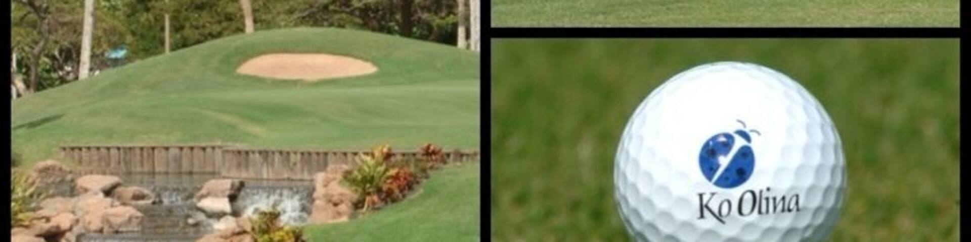 Ko Olina is my favorite golf course on the island.
Nice driving range available to practice before you play. The greens and fairwarys are always well maintained and enjoyable. There are fabulous water features that make some holes more challenging and fun. All golf carts come with a GPS and water bottles.
The pro shop staff are very helpful and friendly. The pro shop has everything you need in case you forgot something or want to go home with something with a cute ladybug logo.
Don't forget Roy's at the 19th hole! Great place to relax with good food and drinks after a day of golfing heaven âł