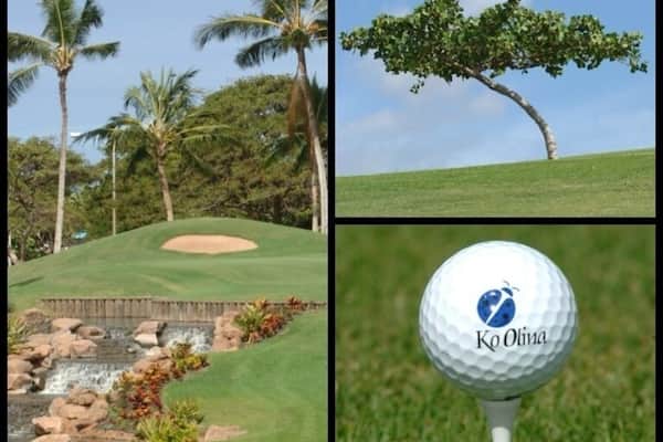 Ko Olina is my favorite golf course on the island.
Nice driving range available to practice before you play. The greens and fairwarys are always well maintained and enjoyable. There are fabulous water features that make some holes more challenging and fun. All golf carts come with a GPS and water bottles.
The pro shop staff are very helpful and friendly. The pro shop has everything you need in case you forgot something or want to go home with something with a cute ladybug logo.
Don't forget Roy's at the 19th hole! Great place to relax with good food and drinks after a day of golfing heaven âł