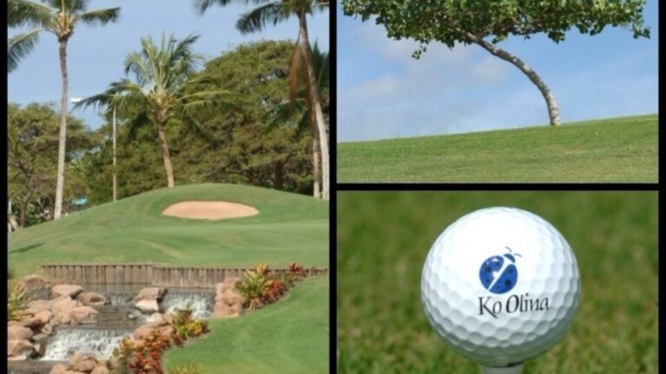 Ko Olina is my favorite golf course on the island.
Nice driving range available to practice before you play. The greens and fairwarys are always well maintained and enjoyable. There are fabulous water features that make some holes more challenging and fun. All golf carts come with a GPS and water bottles.
The pro shop staff are very helpful and friendly. The pro shop has everything you need in case you forgot something or want to go home with something with a cute ladybug logo.
Don't forget Roy's at the 19th hole! Great place to relax with good food and drinks after a day of golfing heaven ⛳