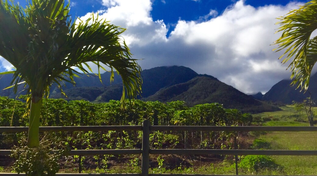 The views are breath taking all over the property