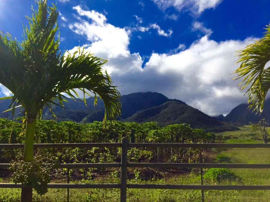 The views are breath taking all over the property