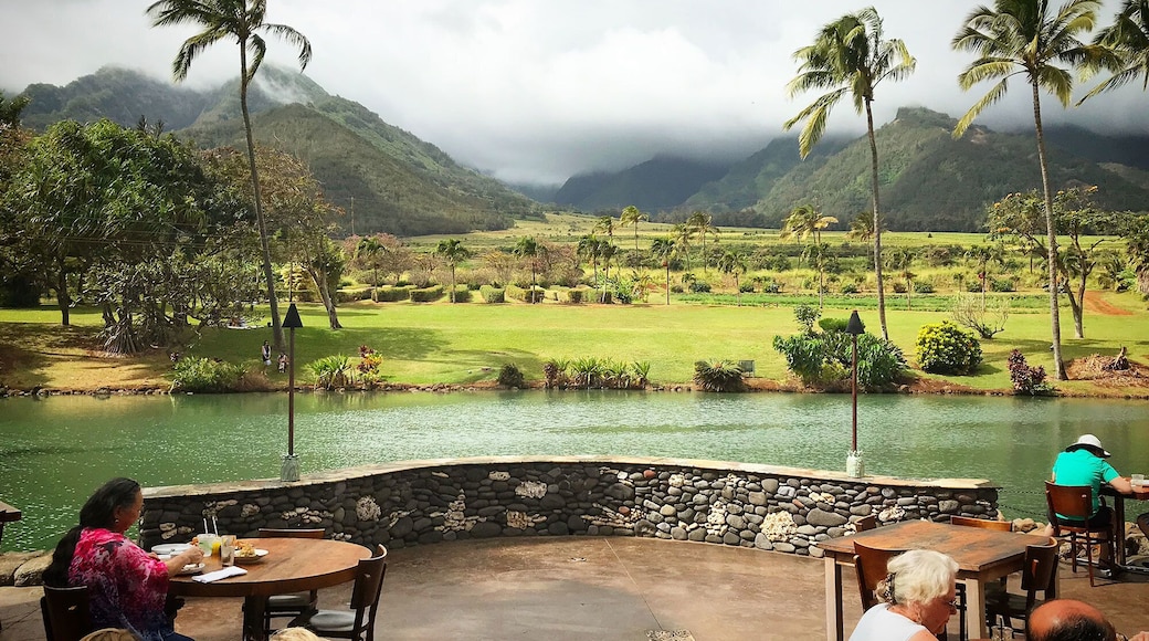 One of the many reasons Maui is considered a leading destination for photographers is due to the diversity it offers. No more than thirty-five minutes from Wailea rests The Mill House in Waikapu Valley—an award-winning restaurant tucked onto the grounds of the Maui Tropical Plantation. A restaurant? you might say—and to which we’d reply, this is no ordinary venue. Situated next to a duck pond and peering out upon verdant crops, part of The Mill House’s aim is to preserve Maui’s past—particularly in terms of the role that plantations played. To that end, its horseshoe bar is bookended by locomotives from the 19th century, while pieces of Maui’s last sugarcane mills—from fly wheels to photographs—welcome diners to its grounds. But it’s The Mill House’s view of the vertiginous West Maui Mountains that renders it oh-so-photogenic.
https://www.millhousemaui.com