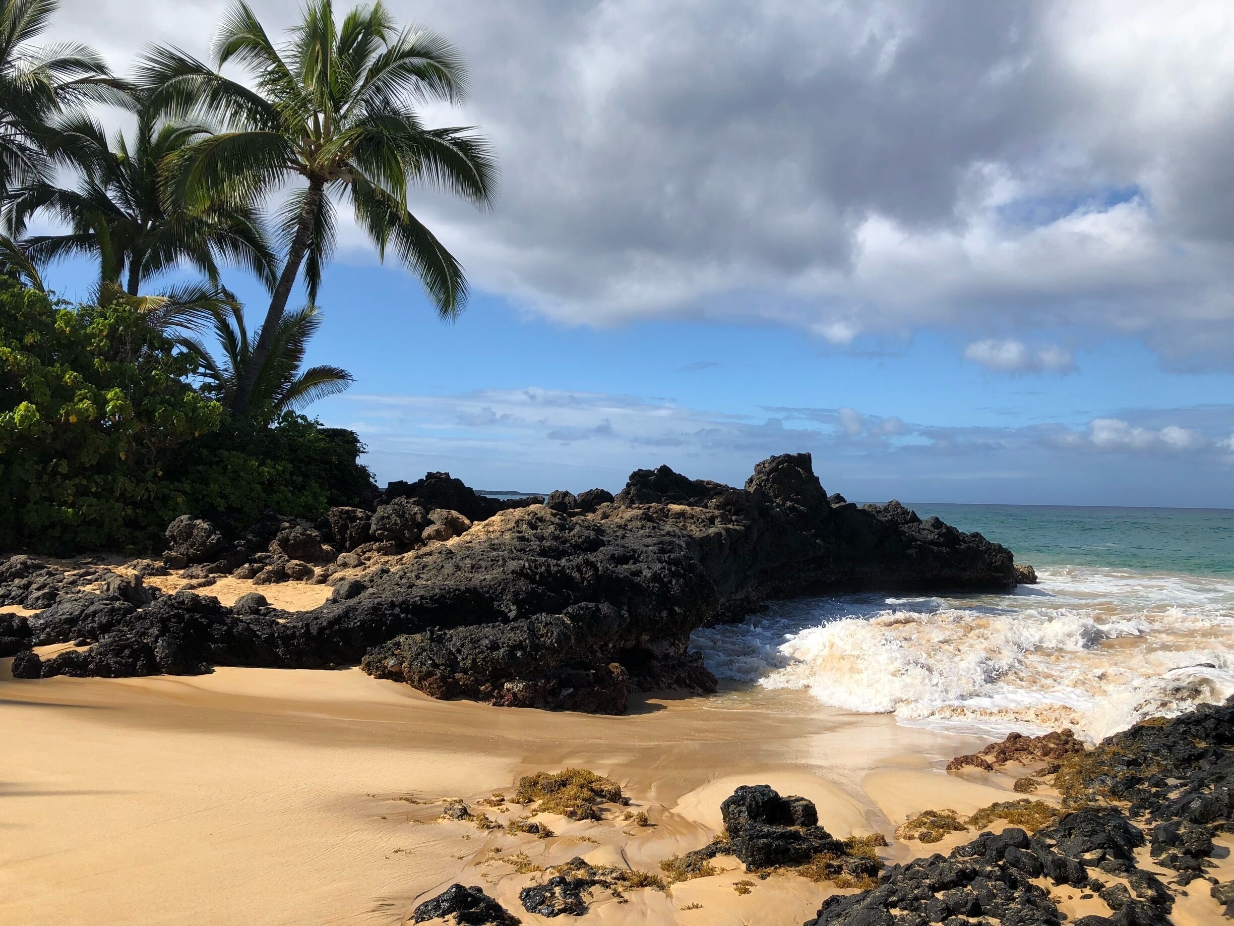 A beach with dark volcanic rocks, sandy shore, and palm trees.