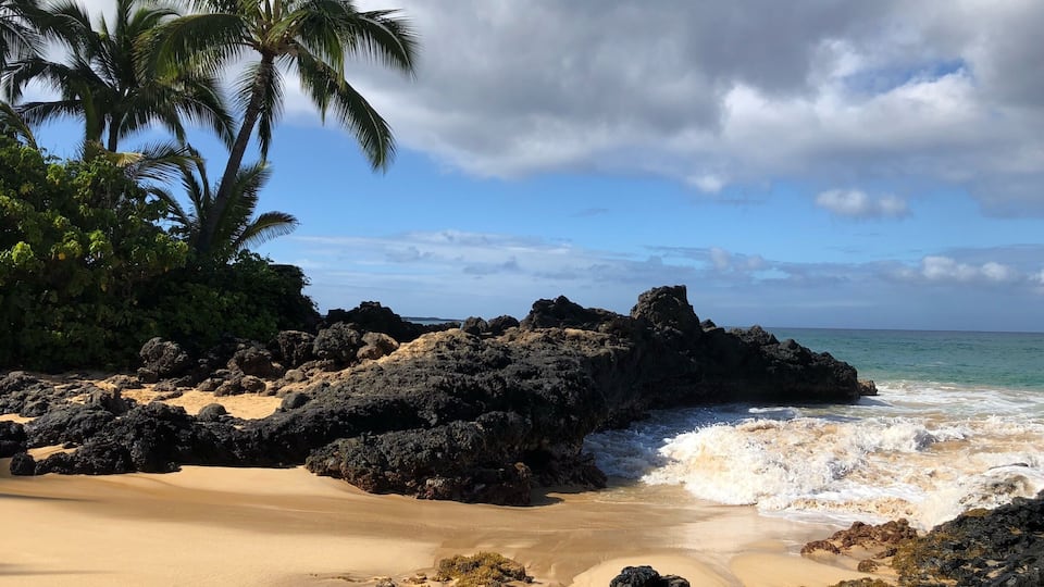 Une plage bordée de roches volcaniques sombres, avec un rivage sablonneux et des palmiers.