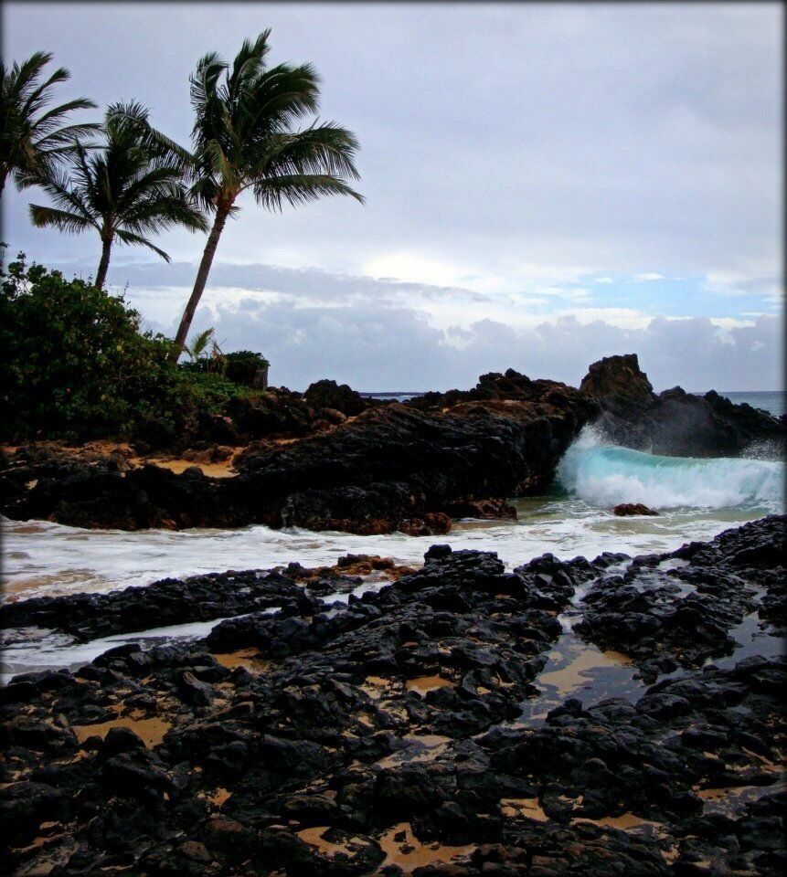 Great beach for a photo shoot!