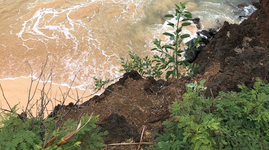 Big Beach on Maui is absolutely one of the most beautiful beaches I have ever seen. We hiked above the beach and I captured the snorkeler below.
#BeachTips photo contest