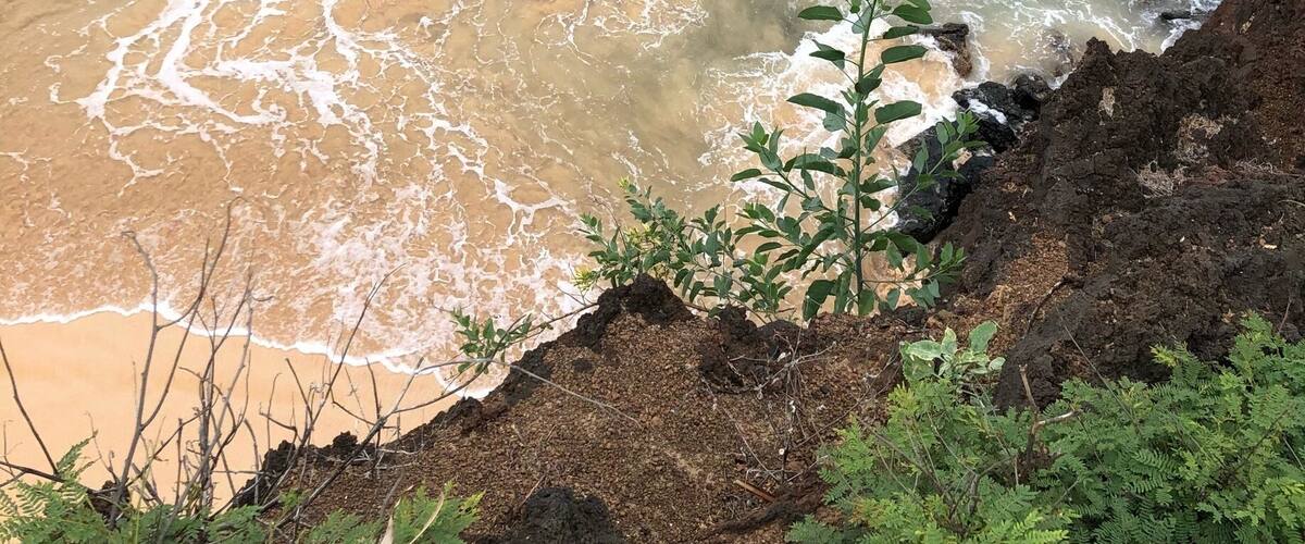 Big Beach on Maui is absolutely one of the most beautiful beaches I have ever seen. We hiked above the beach and I captured the snorkeler below.
#BeachTips photo contest