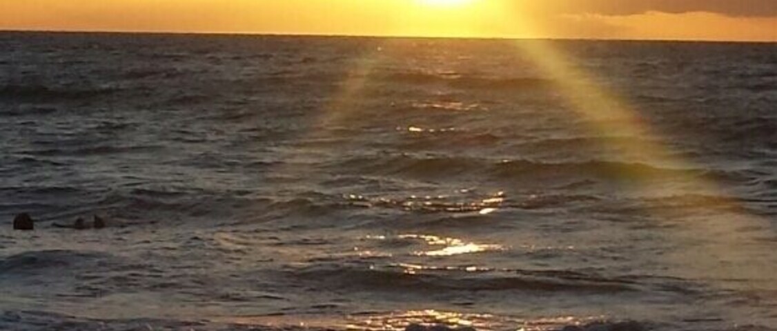 Drinks at Fred's and sunset across the street