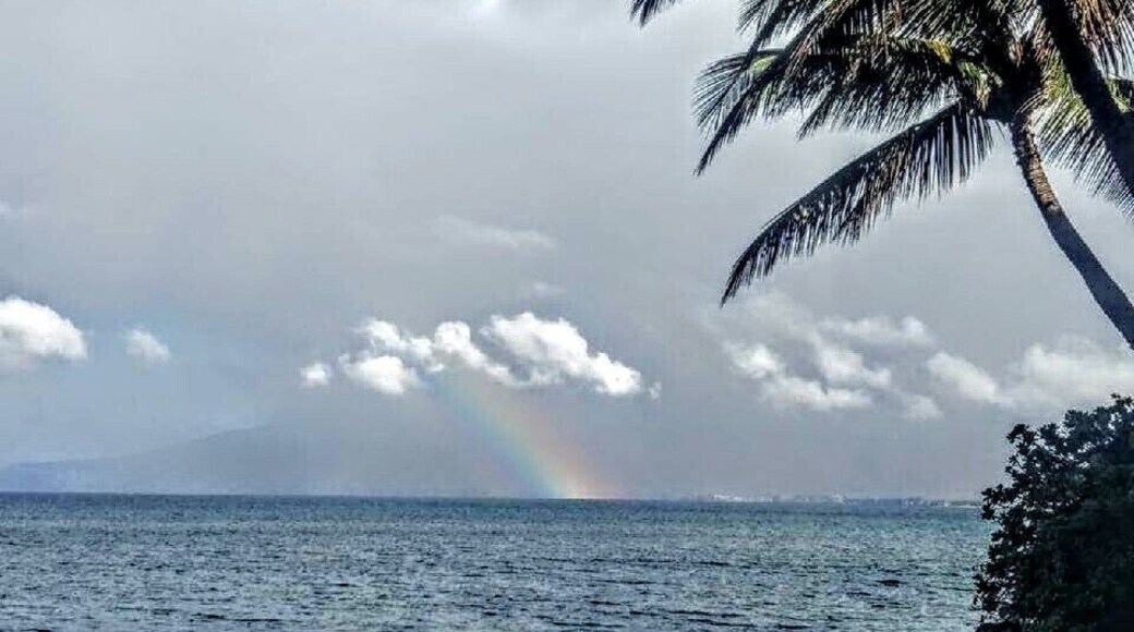 A little rain always brings out the rainbows on Maui đ