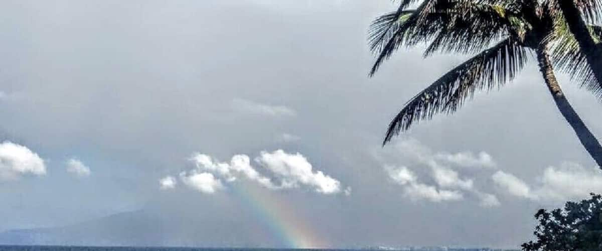 A little rain always brings out the rainbows on Maui 😎