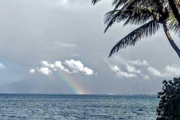 A little rain always brings out the rainbows on Maui 😎