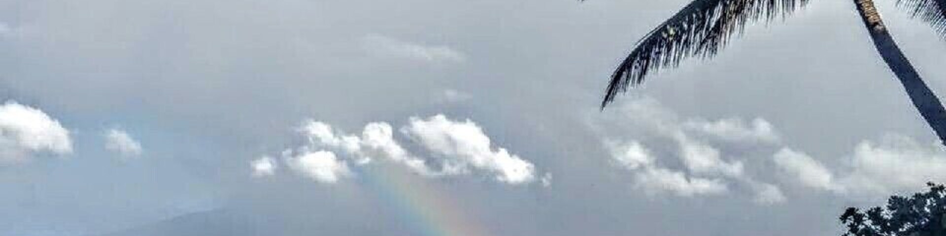 A little rain always brings out the rainbows on Maui 😎