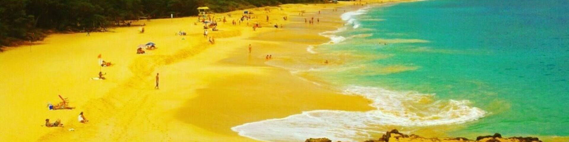 A beach with clear turquoise waters, sandy shore, and green vegetation.