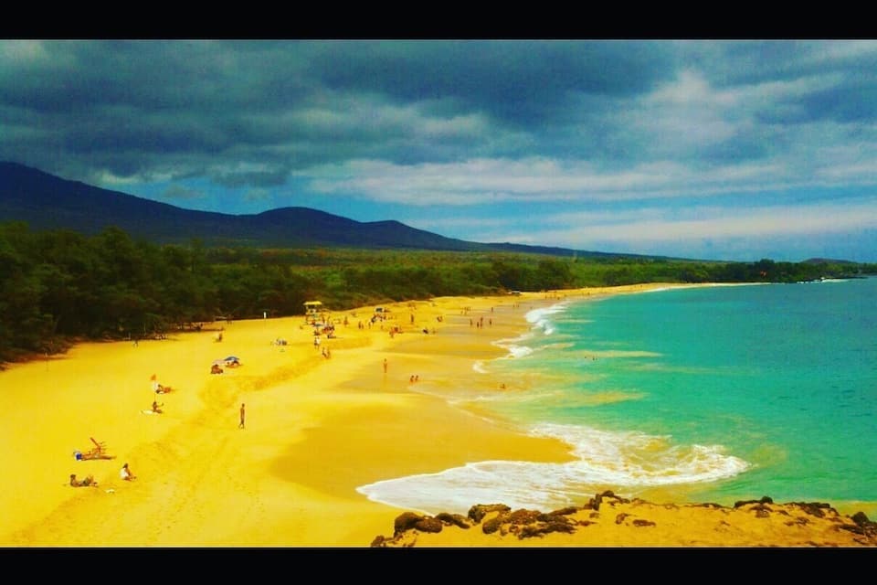 A beach with clear turquoise waters, sandy shore, and green vegetation.