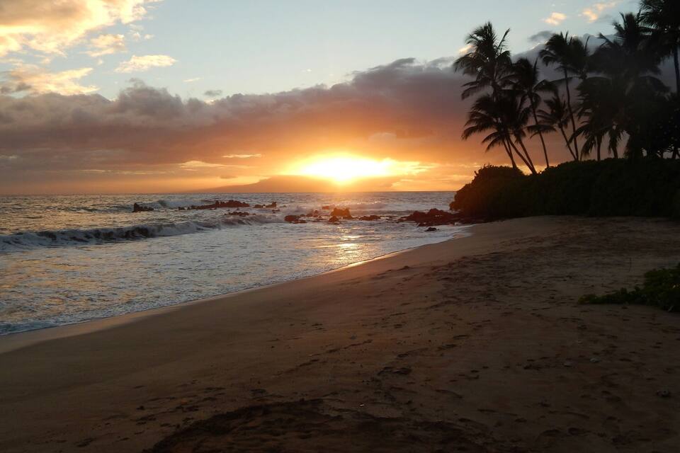 A beach at sunset with waves, palm trees, and a rocky outcrop.