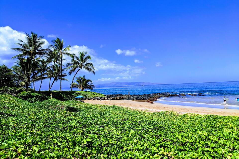 Una playa con exuberante vegetación, palmeras y un océano azul cristalino.