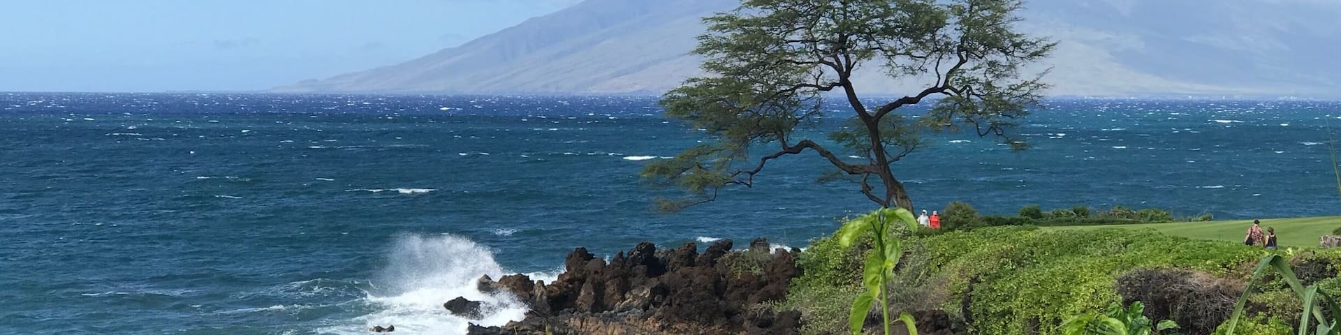Great walking path right behind major hotels on Wailea drive in Maui. No better way to start your day off with this view in the morning.