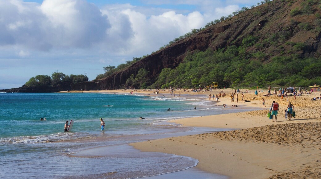 Maui has many beautiful beaches, but Makena Big Beach was by far my favourite.
#AquaTrove