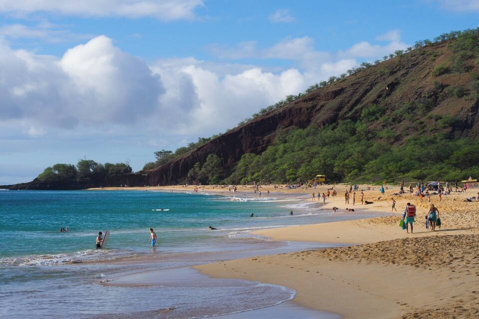 A beach with clear turquoise water, sandy shore, and a hillside with trees.