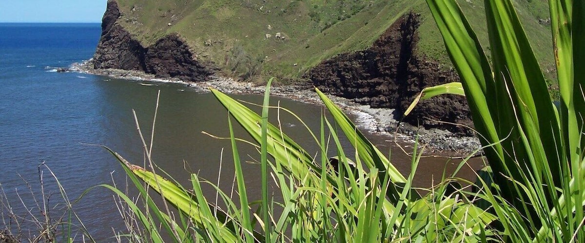 A coastal landscape with a prominent green hill and a rocky shoreline.
