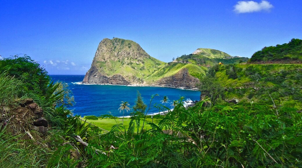 Located on the North coast of Maui, this quiet valley and village is a little difficult to get to. It is along a 18 mile one lane road that hugs the sea cliffs. The 18 miles took about 2 hours to drive, with many times finding oneself having to back up to let others by. The village also has a stand that is reported to have the best banana bread in the World.