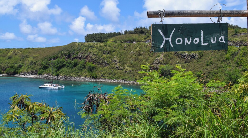 Honolua Bay is your reward stop after driving the rugged mountainous nearly one-lane road along Maui's Northern-most tip of the island. This road is legal and accessible with a normal vehicle, but it's a bit of a harrowing drive, so be very cautious and honk when coming around bends.
Honolua Bay is a great place to snorkel, have a swim, or lay on the hot rocks. While here, be sure to visit the Coconut Caboose mobile truck, serving all-natural shaved ice made from frozen raw coconut water, hand-cracked by the owner and founder himself. They also serve delicious organic, vegan gelato all using coconut as the base instead of milk. The owner has amazing sustainable values, and all of his products are compostable and made of cane sugar instead of plastic. Now THIS is a business we support!
To see more photos of Honolua Bay and what you should try at Coconut Caboose, check out my blog post on Maui here: https://culturalfoodies.com/2018/08/19/a-three-day-itinerary-on-maui-including-how-much-money-we-spent/
#likealocal
#lifeatexpedia
#troveon
#Honoluabay
#hawaii
#maui
#localexpert
#snorkel
#vistas