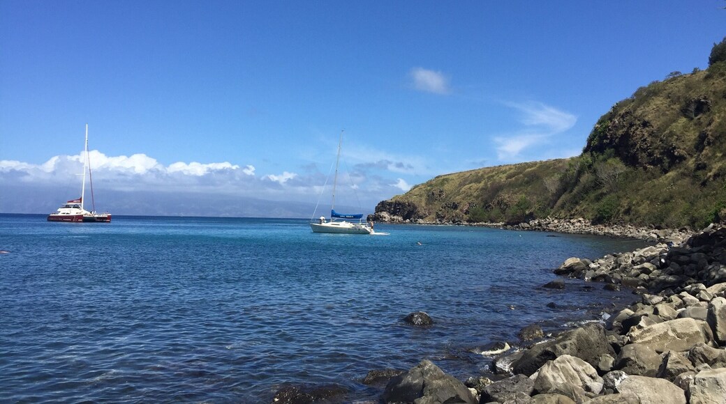 When traveling to Maui visiting Honolua Bay is a must! It is a wonderful place to go snorkeling; you can see sea turtles, coral, parrotfish, goat fish, ta’ape, octopus, unicorn fish, urchins, and much more! Also high rocky cliffs surround it, which shelters it from the wind and keeps the water calm. There really is no other beach quite like it! #LifeAtExpedia