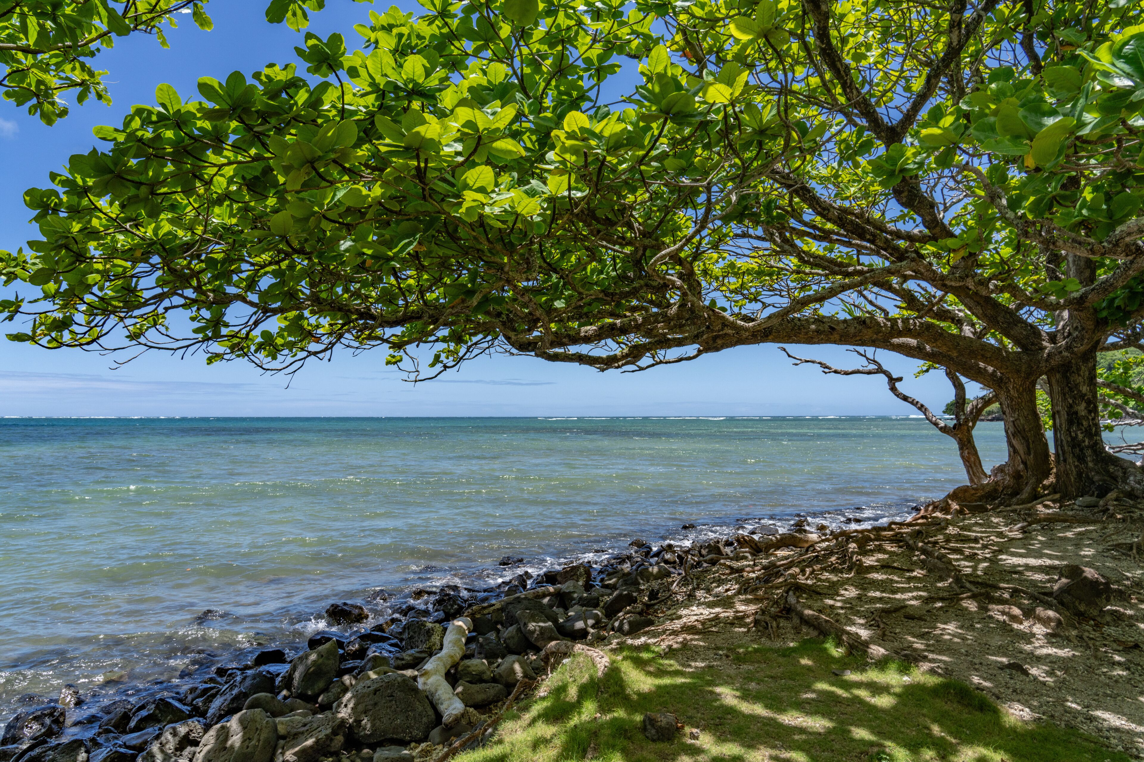 Kahana