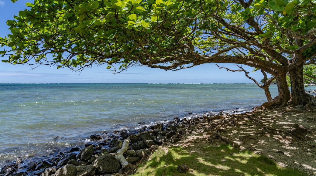 Kahana