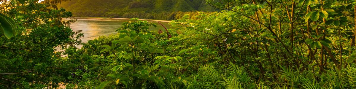 The sun rises into the Kahana valley at Ahupua?a ?O Kahana State Park on the island of Oahu, Hawaii.; Shutterstock ID 1020661861; purchase_order: SP-1269 HA 2018 Batch 1; Order: ; client: ; other: