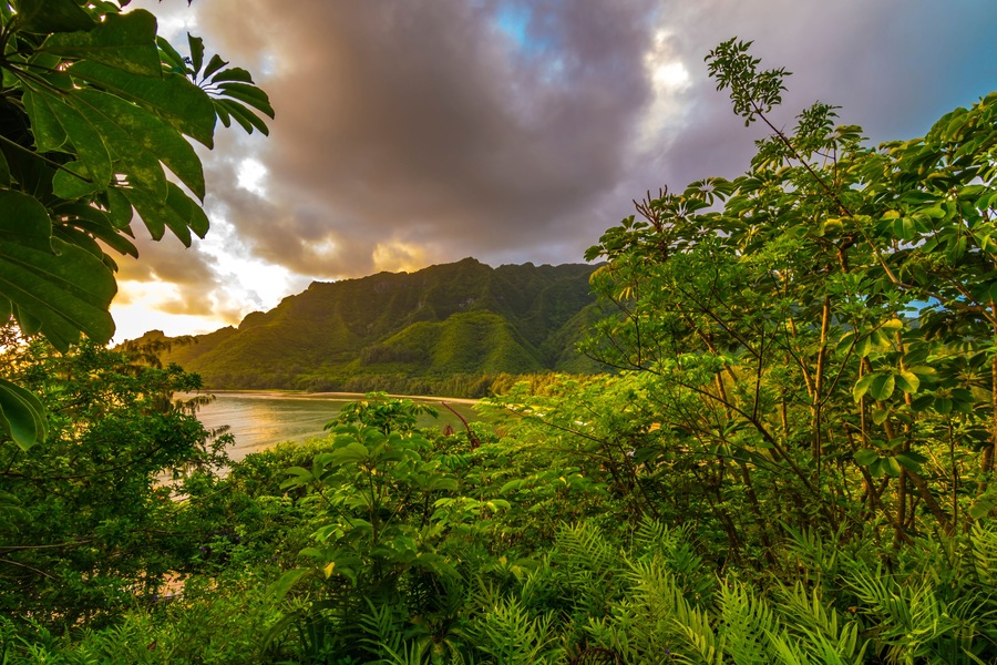 The sun rises into the Kahana valley at Ahupua?a ?O Kahana State Park on the island of Oahu, Hawaii.; Shutterstock ID 1020661861; purchase_order: SP-1269 HA 2018 Batch 1; Order: ; client: ; other: