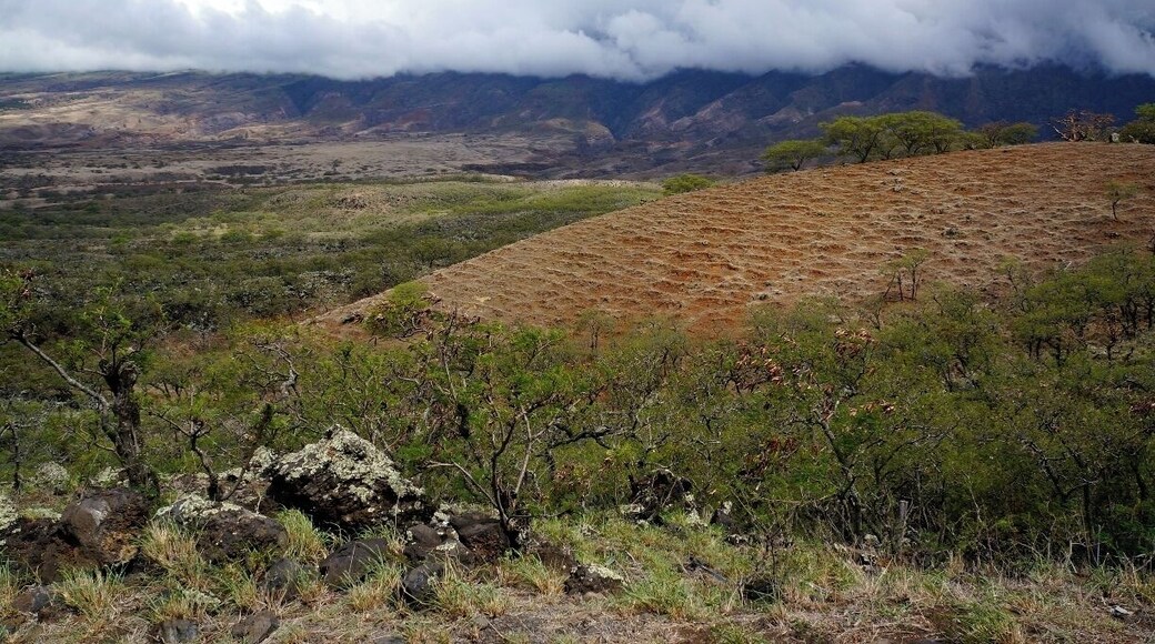 When driving the Hana Highway, continue on passed the Oheo Gulch, to Kipahulu and Kaupo. The change in the terrain is spectacular and very photogenic, especially just before sunset. #Hana #Hawaii #Maui #UnitedStates #USA http://www.acooknotmad.com/2014/10/piece-paradise-paw-paw.html