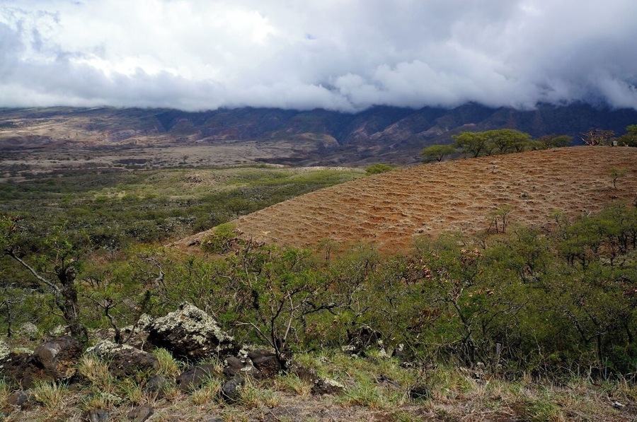 When driving the Hana Highway, continue on passed the Oheo Gulch, to Kipahulu and Kaupo. The change in the terrain is spectacular and very photogenic, especially just before sunset. #Hana #Hawaii #Maui #UnitedStates #USA http://www.acooknotmad.com/2014/10/piece-paradise-paw-paw.html