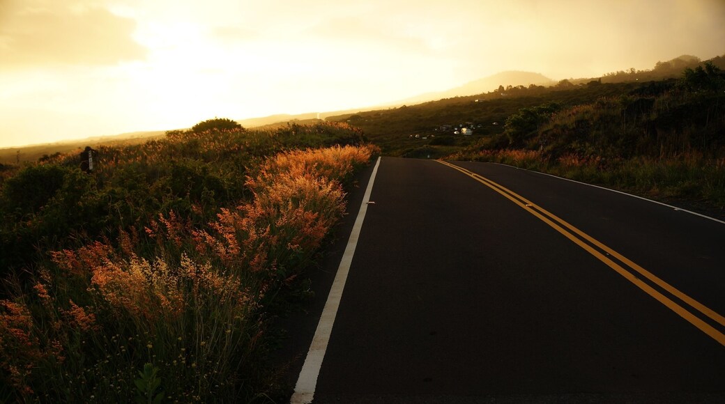 On the back side of Haleakala crater is Kaupo, the drive is spectacular and quite different from the rest of the island. the ocean to one side and the volcano on the other. Take it slow and enjoy the drive. #GoldenHour