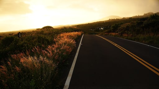 On the back side of Haleakala crater is Kaupo, the drive is spectacular and quite different from the rest of the island. the ocean to one side and the volcano on the other. Take it slow and enjoy the drive. #GoldenHour