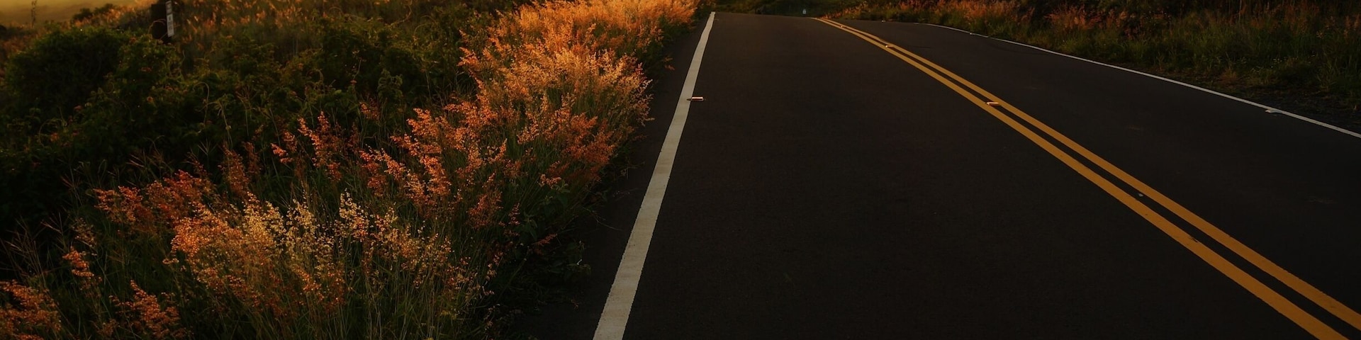 On the back side of Haleakala crater is Kaupo, the drive is spectacular and quite different from the rest of the island. the ocean to one side and the volcano on the other. Take it slow and enjoy the drive. #GoldenHour