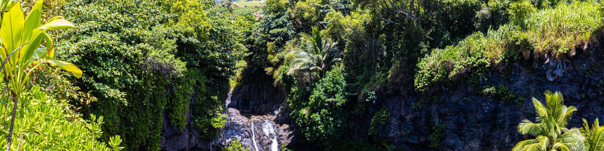 A waterfall cascading into a pond surrounded by lush greenery and rocky cliffs.