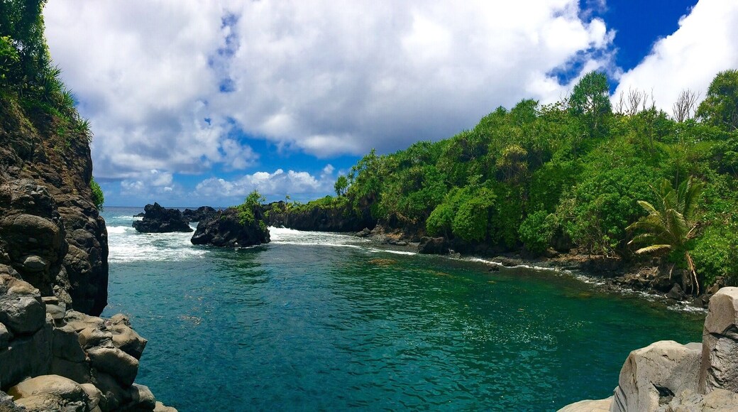 This is a beautiful place to stop for a swim, past the town of Hana. The water is a beautiful shade of blue/green, and if you go in the morning, you might have it all to yourself.