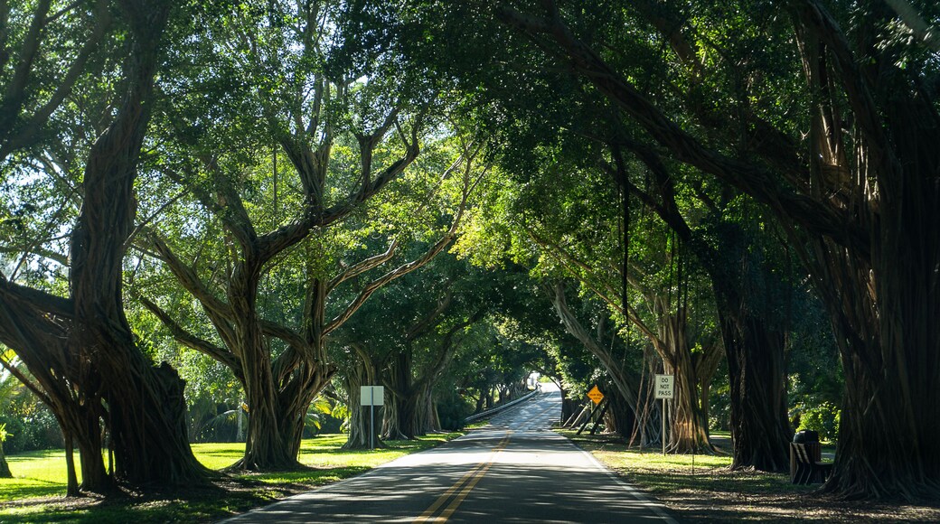 Indiantown