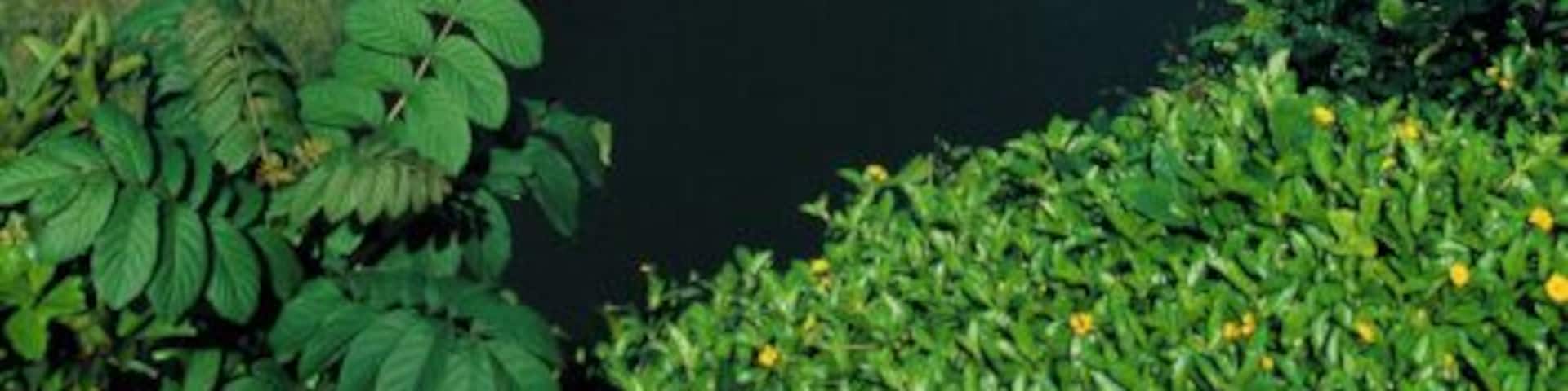 Keanae Peninsula, Maui, Hawaii, USA, elevated view